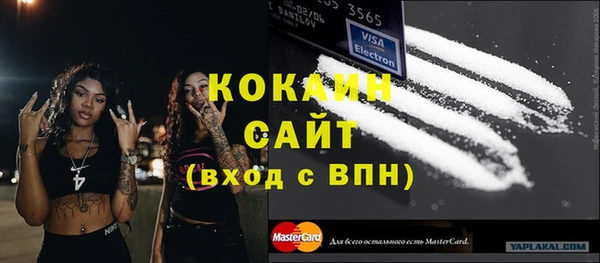 мдпв Инта