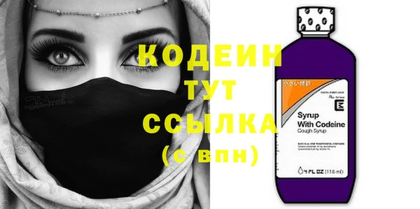 мдпв Инта