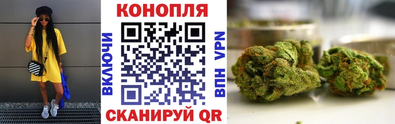 shop Telegram Шарья Марихуана Amnesia